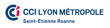 cci lyon
